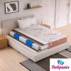 Матрац DEXTER PRO62241